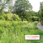 Base de loisirs de Saint-Quentin-en-Yvelines - Ile de loisirs de Trappes - activités -  A7C7324