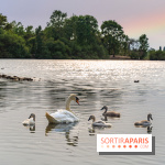 Base de loisirs de Saint-Quentin-en-Yvelines - Ile de loisirs de Trappes - activités - 295A94D4 9EFB 4FD4 9F1C 55C2E2224F4E