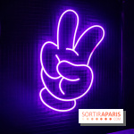 Disney 100 L'Amitié c'est Merveilleux