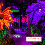 Disney 100 L'Amitié c'est Merveilleux -