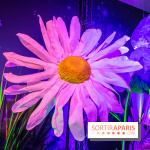 Disney 100 L'Amitié c'est Merveilleux