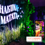 Disney 100 L'Amitié c'est Merveilleux