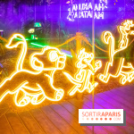 Disney 100 L'Amitié c'est Merveilleux