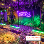 Disney 100 L'Amitié c'est Merveilleux