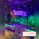 Disney 100 L'Amitié c'est Merveilleux