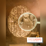 Graver la lumière, l'exposition qui met l'estampe à l'honneur, au musée Marmottan Monet - nos photos