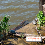 Balade nature dans la forêt de Montmorency, nos photos