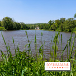 Balade nature dans la forêt de Montmorency, nos photos