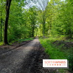 Balade nature dans la forêt de Montmorency, nos photos