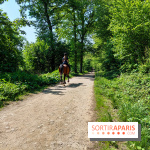 Balade nature dans la forêt de Montmorency, nos photos