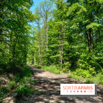 Balade nature dans la forêt de Montmorency, nos photos