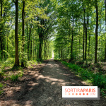 Balade nature dans la forêt de Montmorency, nos photos