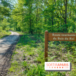 Balade nature dans la forêt de Montmorency, nos photos