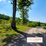 Balade nature dans la forêt de Montmorency, nos photos