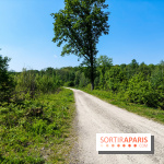 Balade nature dans la forêt de Montmorency, nos photos