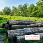 Balade nature dans la forêt de Montmorency, nos photos