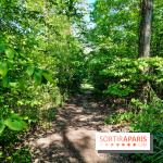 Balade nature dans la forêt de Montmorency, nos photos