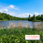 Balade nature dans la forêt de Montmorency, nos photos