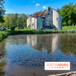 Balade nature dans la forêt de Montmorency, nos photos