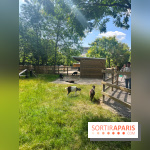 La ferme de la Villette et ses animaux