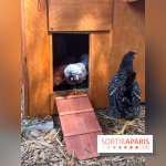 La ferme de la Villette et ses animaux