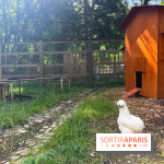 La ferme de la Villette et ses animaux