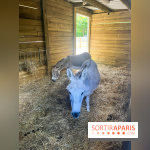 La ferme de la Villette et ses animaux