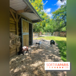 La ferme de la Villette et ses animaux - image00014