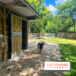 La ferme de la Villette et ses animaux