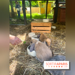 La ferme de la Villette et ses animaux