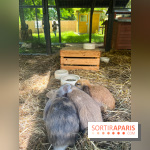 La ferme de la Villette et ses animaux