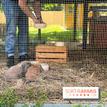 La ferme de la Villette et ses animaux