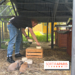 La ferme de la Villette et ses animaux