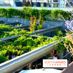 Goku Rooftop au Musée Guimet : la terrasse gourmande à Paris - DSC 0064