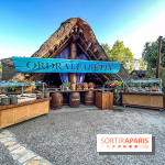 L'Été Gaulois au Parc Astérix  - IMG 9088