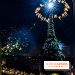 Feu d’artifice de Paris 2023 - photos  -  A7C8327