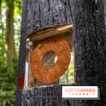 Grandeur nature, l'exposition contemporaine dans les Jardins du Château de Fontainebleau