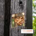 Grandeur nature, l'exposition contemporaine dans les Jardins du Château de Fontainebleau