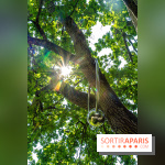 Grandeur nature, l'exposition contemporaine dans les Jardins du Château de Fontainebleau -  A7C9159