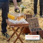 Montgolfière à Fontainebleau, vol au dessus de l'Ile-de-France -  A7C9031