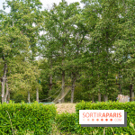 Ile de loisirs de Bois le Roi - base de loisirs