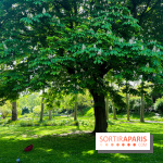 Le parc Kellerman, bijou de verdure dans le 13e arrondissement