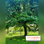 Le parc Kellerman, bijou de verdure dans le 13e arrondissement  - image00011