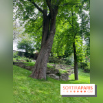 Le parc Kellerman, bijou de verdure dans le 13e arrondissement