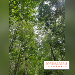 Cergy, la ville aux milles facettes - image00138