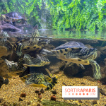 La Maison de la Pêche et de la Nature