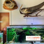 La Maison de la Pêche et de la Nature