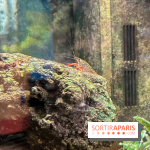 La Maison de la Pêche et de la Nature - image00009