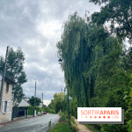 Le long de l'Oise, entre Auvers-sur-Oise et l'Isle-Adam