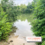 Le long de l'Oise, entre Auvers-sur-Oise et l'Isle-Adam